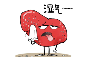 本草食光 | 湿气重的4个信号，3碗汤帮你“排出去”