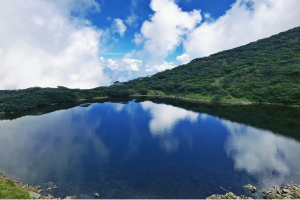 风花雪月间的养生之道：白族水、茶、花的健康密语