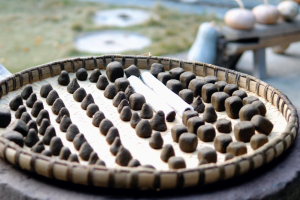 苗医艾纳香灸：一缕药烟祛寒湿