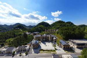 贵州茶寿山森林康养基地