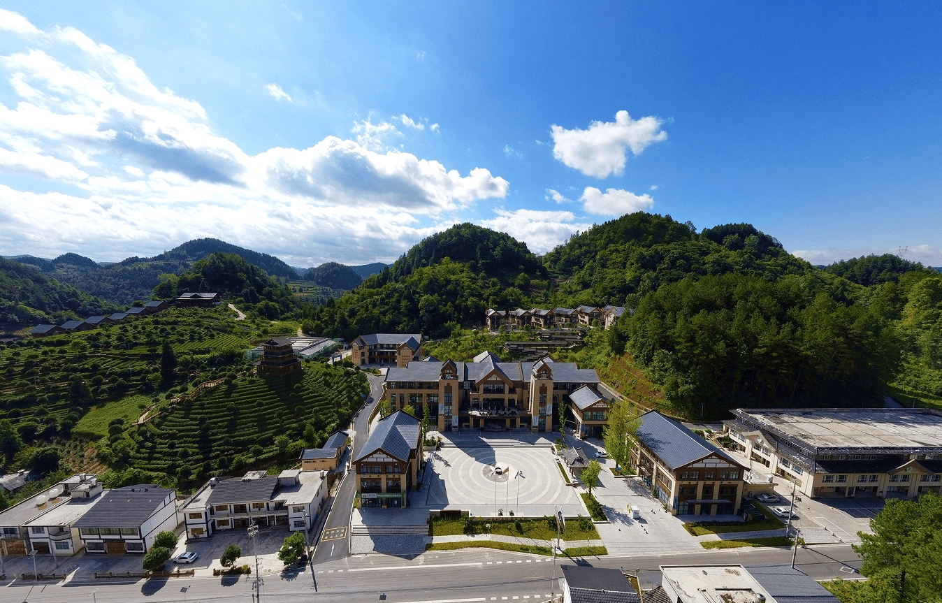 贵州茶寿山森林康养基地