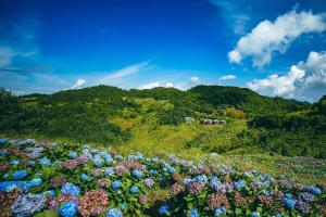  大理南涧无量药谷：无量山的阿尔卑斯山小镇