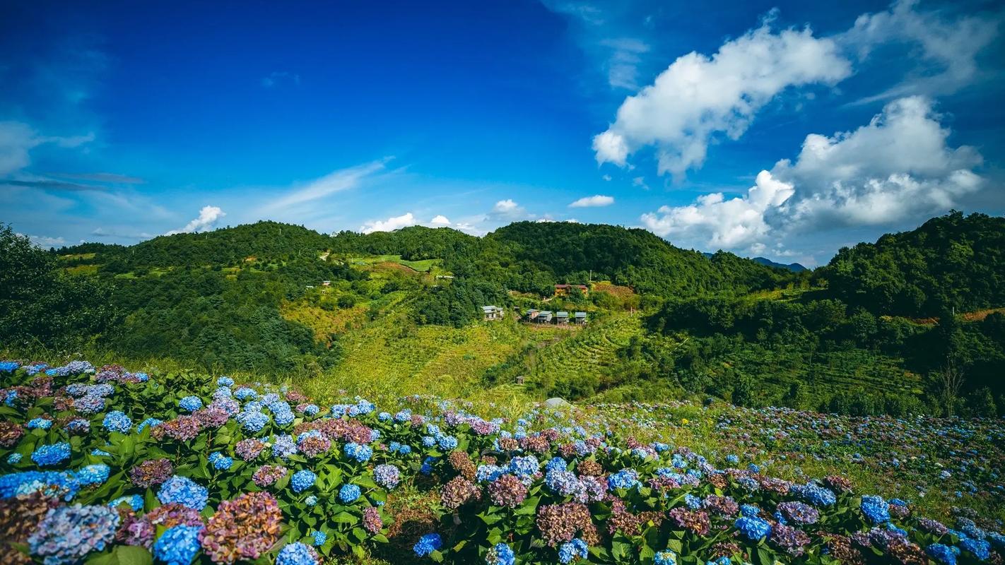  大理南涧无量药谷：无量山的阿尔卑斯山小镇