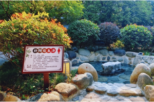 传承千年中医智慧 守护健康独具“阡”韵