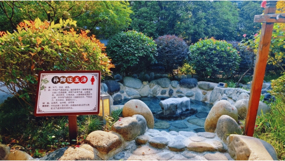 传承千年中医智慧 守护健康独具“阡”韵