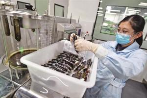 泗县数字赋能推动智慧中药房建设促中医药发展提质升级