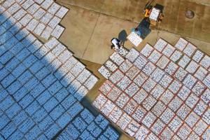 岳西县“三举措”激活中医药发展“一池春水”