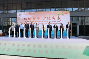 扬州启动“广陵医派”健康文化旅游月