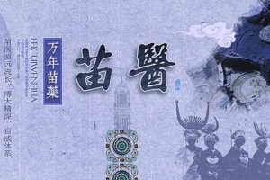 贵阳贵州民族医药企业探索"产品+文化"双出海 依托非洲考察推进苗药日化品准入