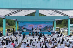 奉节第二届长安采药节开幕，川牛膝产量占全国45%