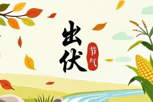 央视新闻出伏健康提醒：南北分治秋燥，张忠德给出“清伏湿+润秋燥”双轨食单