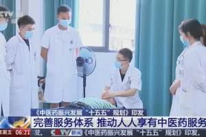 陈士林院士解读“十五五”：数智化从工具变底座