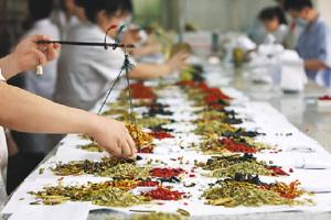 人民日报刊文：中医药更加自信地走向世界